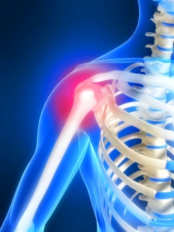 МРТ анатомия плечевого сустава