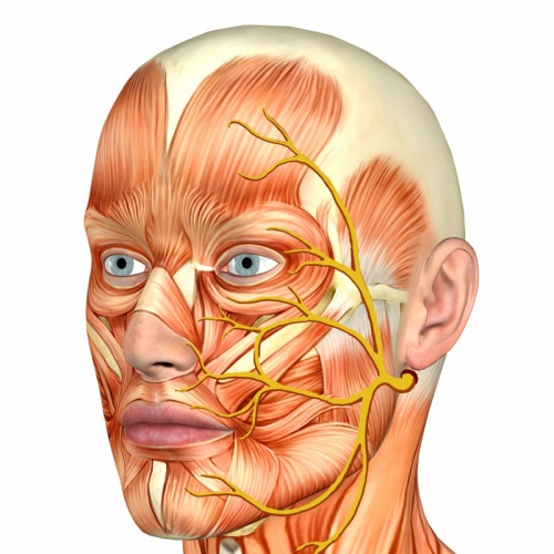 томография тройничного нерва